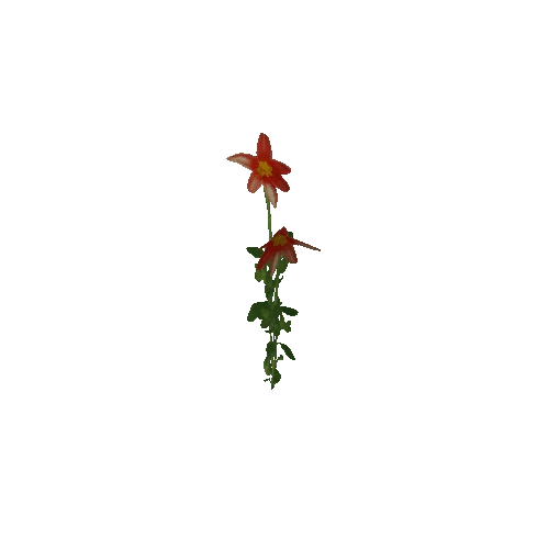 Flower 5 (Type 6)